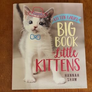 Kitten Lady's Big Book of Little Kittens
